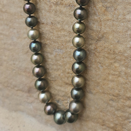 Perles de Tahiti multicolor de diamètres dégradés.